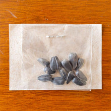 Cargar imagen en el visor de la galería, Semillas de Girasol Gigante Var. Nacional