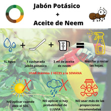 Cargar imagen en el visor de la galería, Aceite de Neem 60ml