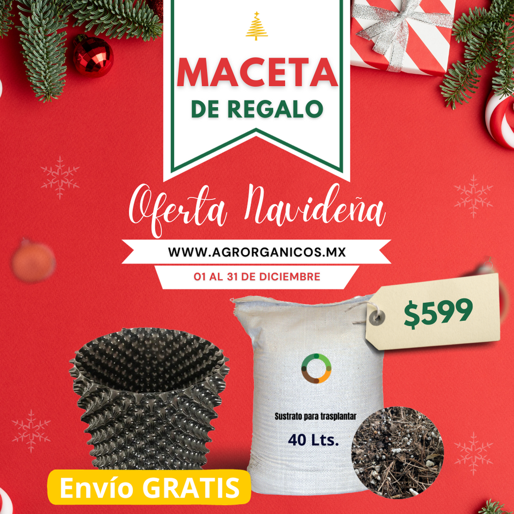 Sustrato Preparado para Trasplantar (40 lts) + Maceta GRATIS