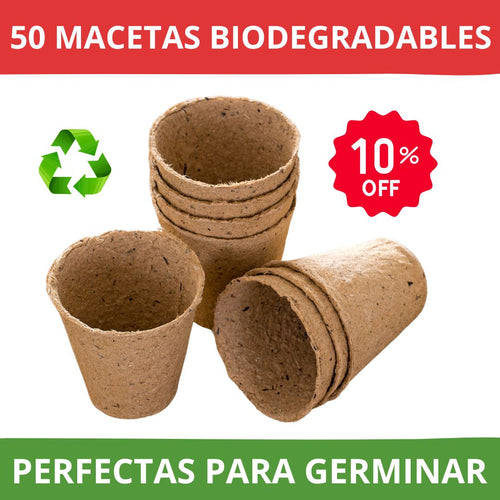 50 Macetas biodegradables