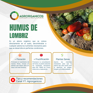 Beneficios del humus de lombriz