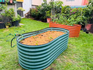Sustrato Preparado para Trasplantar (40 lts)