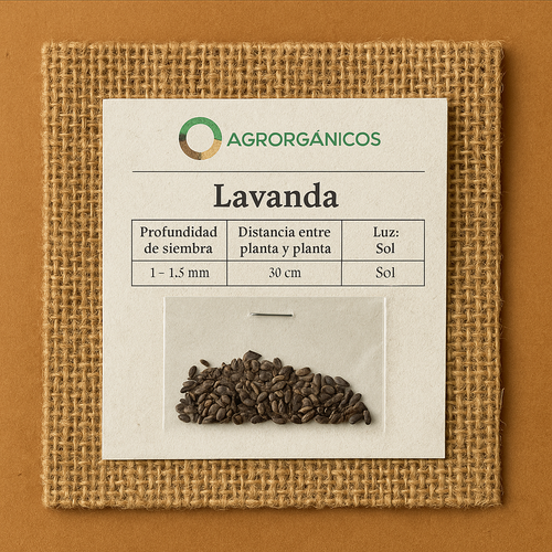 Semillas de Lavanda