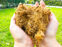 Cargar imagen en el visor de la galería, ✨ KIT de Sustratos: Perlita, Vermiculita, Fibra de Coco y Humus