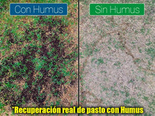 Cargar imagen en el visor de la galería, Humus de Lombriz 40 kg.