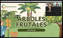 Cargar imagen en el visor de la galería, 🍋 Taller EN VIVO: Árboles Frutales en Maceta - Clase + Grabación + PDF