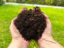 Cargar imagen en el visor de la galería, Tierra de Hoja Preparada 25 Kg.