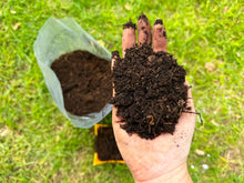 Cargar imagen en el visor de la galería, Tierra de Hoja Preparada 25 Kg.