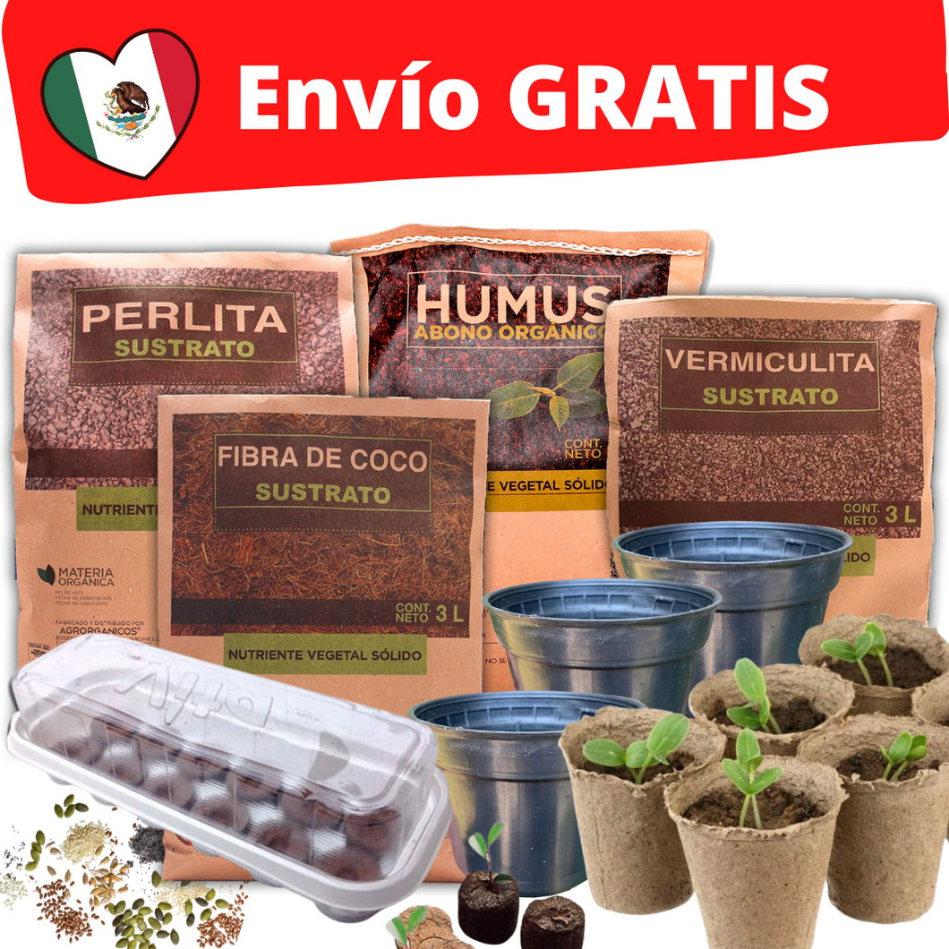 🎁 KIT de Germinación + 10 sobres de semillas GRATIS 🎁