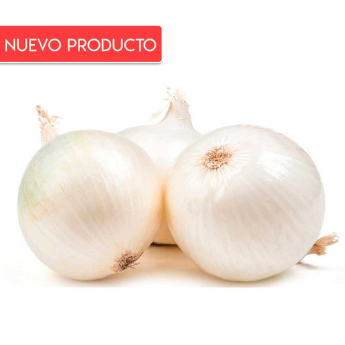 Semillas de Cebolla Blanca Var. Cristal Wax