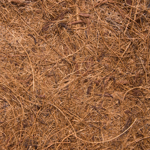 Fibra de coco 50/50 - Sustrato natural (3 litros)