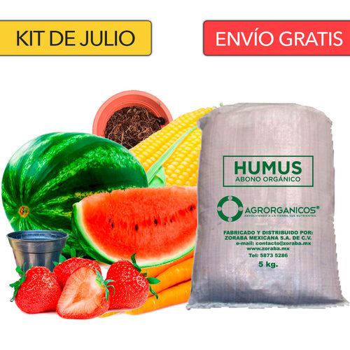 7. Kit de JULIO