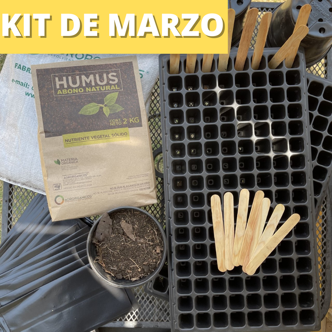 3. KIT de Marzo Primavera 2023