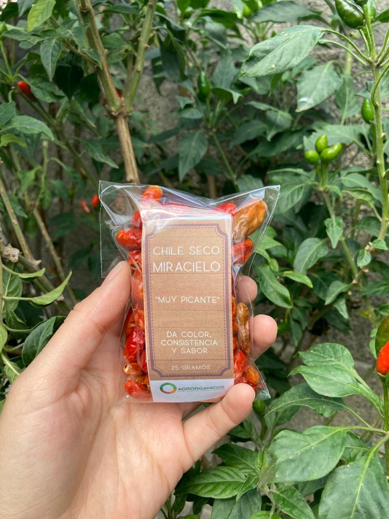 🌶️🔥 25gr Chile Seco MiraCielo 🌶️🔥