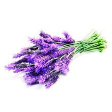 Cargar imagen en el visor de la galería, Semillas de Lavanda para plantar de Agrorganicos