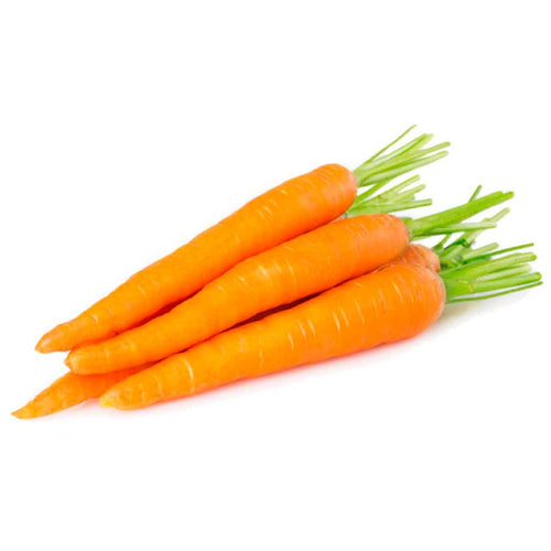 Semillas de zanahoria - Agrorganicos